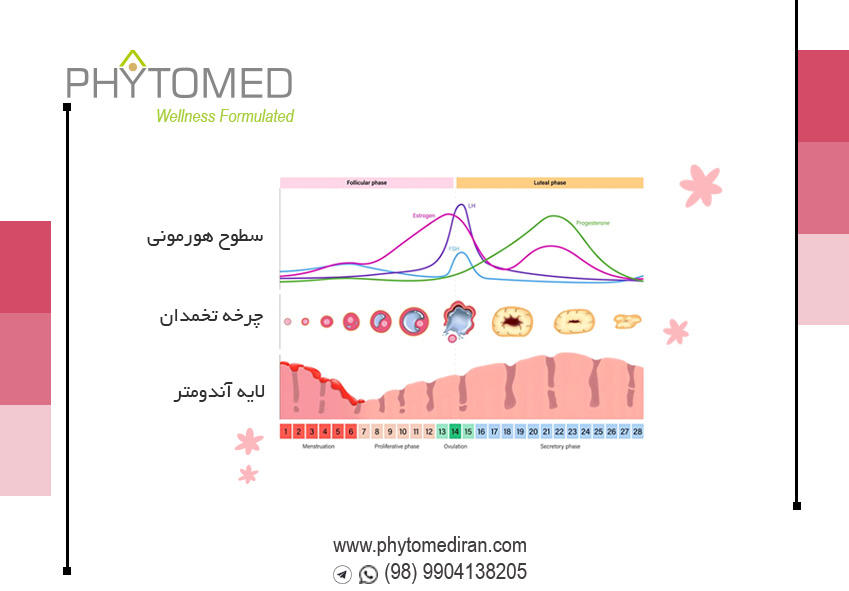 سندروم پیش از قاعدگی (PMS)